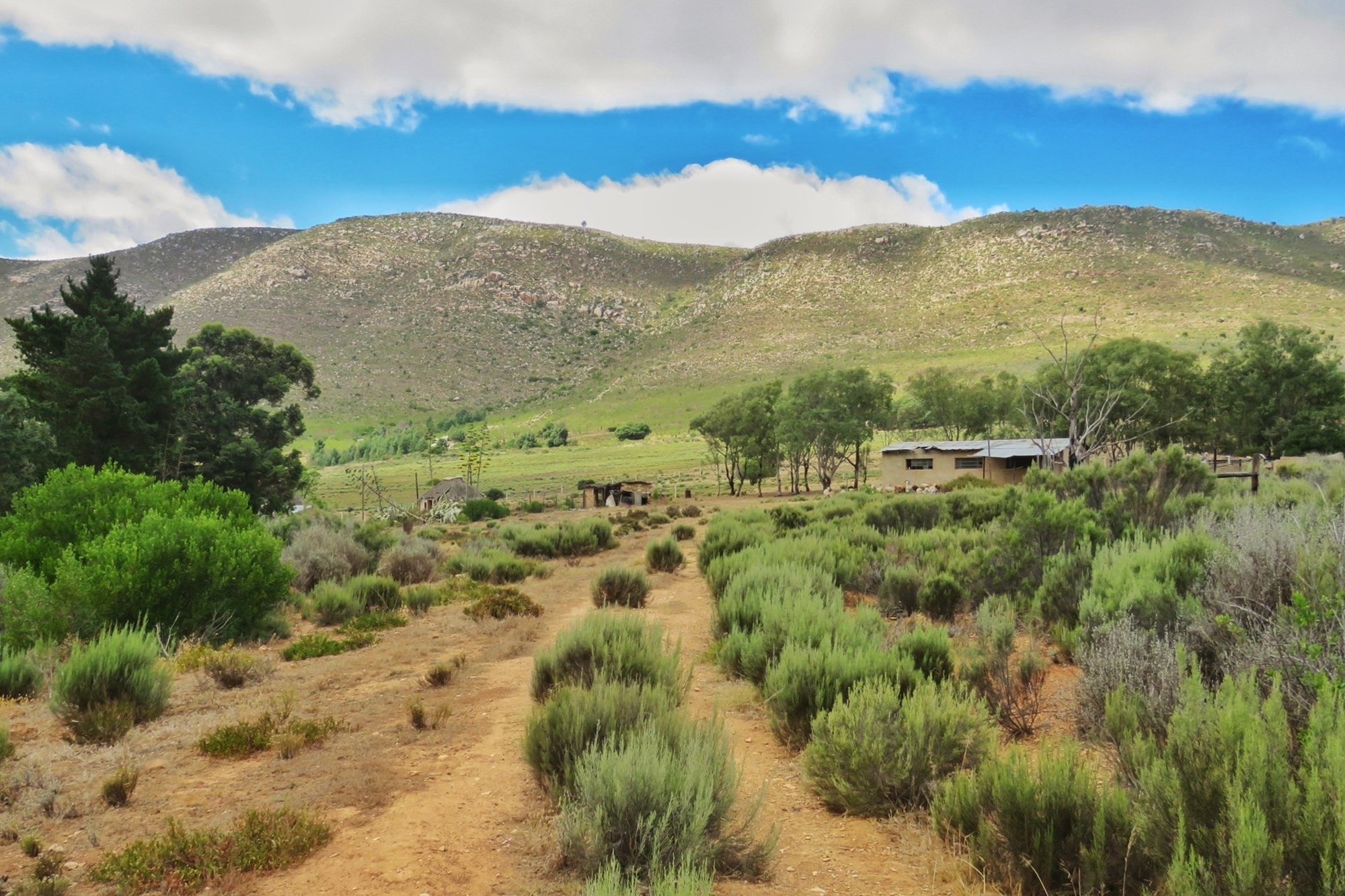 3 Bedroom Property for Sale in Uniondale Rural Western Cape